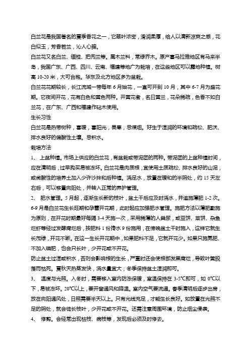 白兰花是我国著名的夏季香花之一