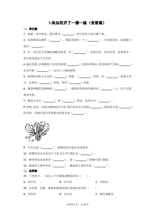 四年级科学下册试题   第一单元5、凤仙花开了一课一练(教科版)(含答案)