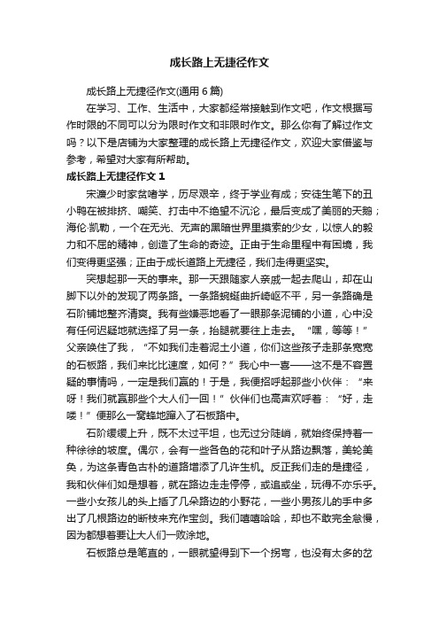 成长路上无捷径作文