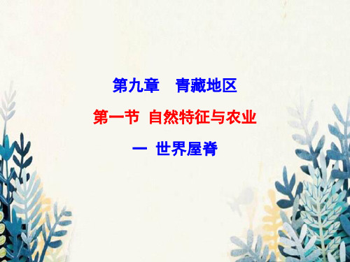 河津市十中八年级地理下册9.1自然特征与农业世界屋脊课件新版新人教版