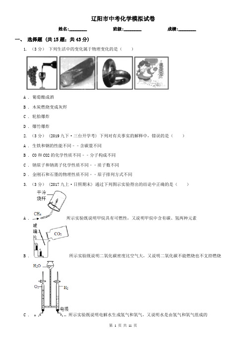 辽阳市中考化学模拟试卷