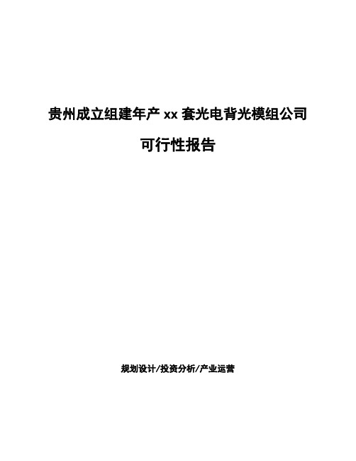 贵州成立组建年产xx套光电背光模组公司可行性报告模板