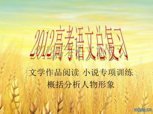 人物形象的概括分析演示文稿