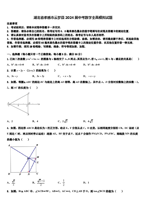 湖北省孝感市云梦县2024届中考数学全真模拟试题含解析