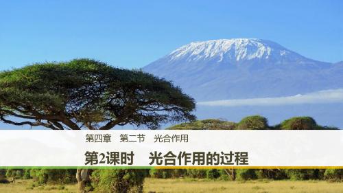 2018届 二轮复习 光合作用的过程 课件(江苏专用)
