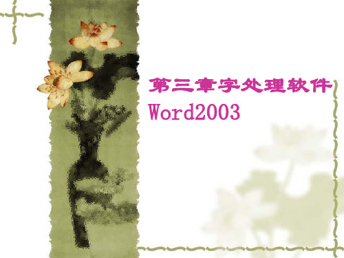 第3章课件Word2003基本操作