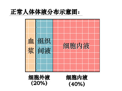 正常人体体液分布图