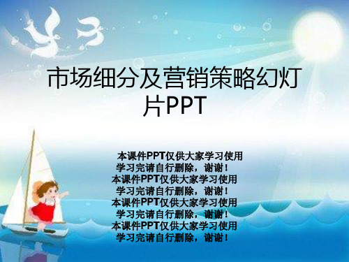 市场细分及营销策略幻灯片PPT