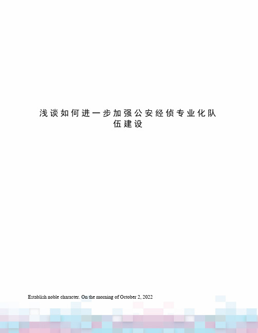 浅谈如何进一步加强公安经侦专业化队伍建设