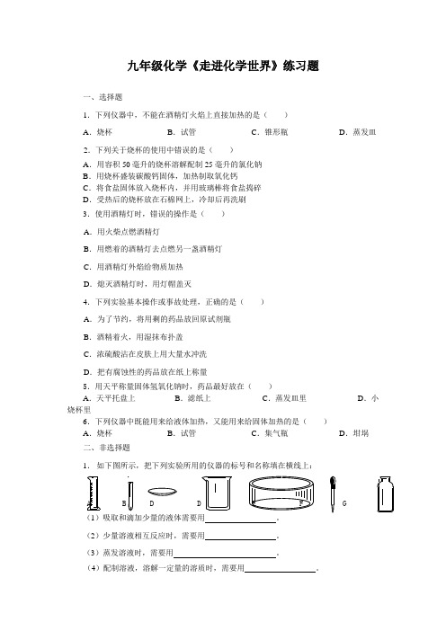 九年级化学走进化学世界练习题(附答案)