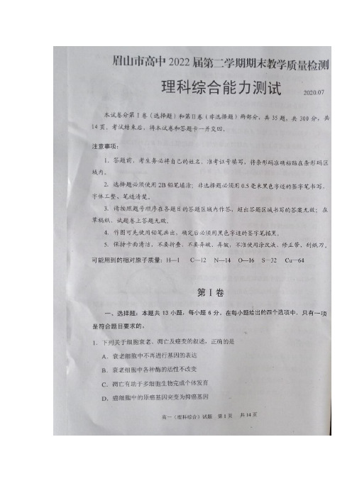 四川省眉山市2019-2020学年高一下学期期末考试理综+数学+文综+英语+语文试题 含答案