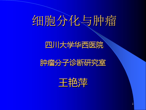 细胞分化和肿瘤