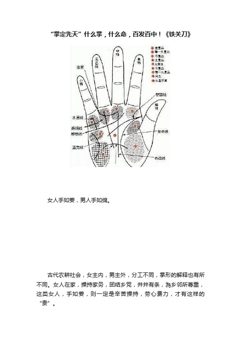 “掌定先天”什么掌，什么命，百发百中！《铁关刀》