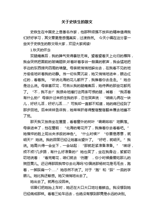 关于史铁生的散文