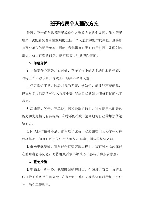 班子成员个人整改方案