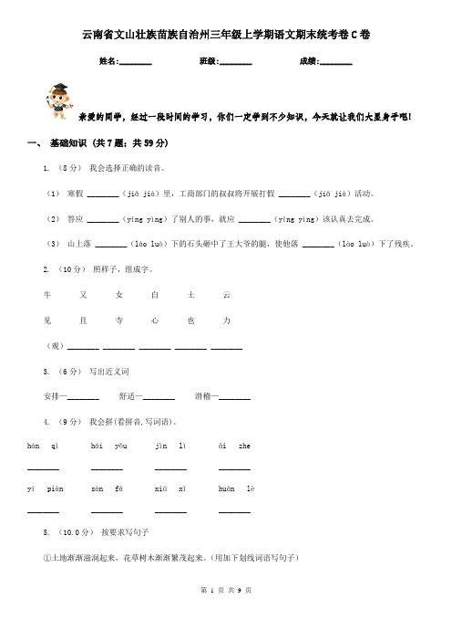 云南省文山壮族苗族自治州三年级上学期语文期末统考卷C卷