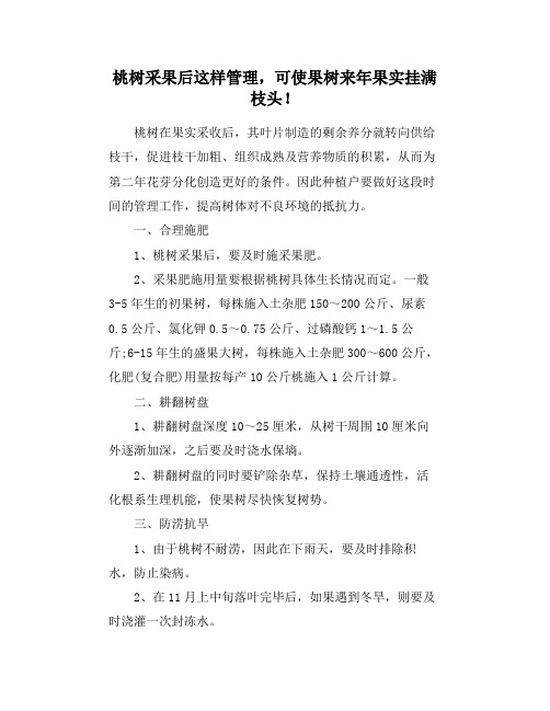 桃树采果后这样管理,可使果树来年果实挂满枝头!