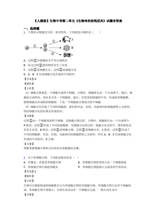 【人教版】生物中考第二单元《生物体的结构层次》试题含答案