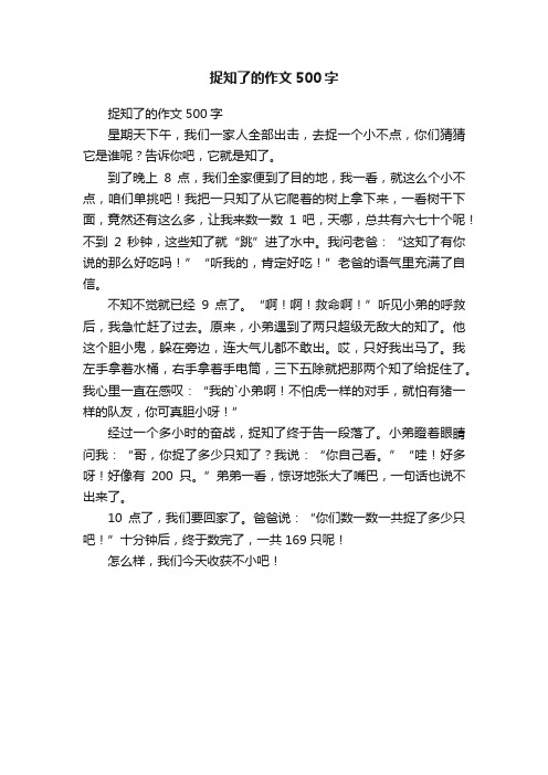 捉知了的作文500字