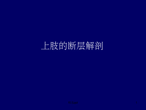 上肢的断层解剖-人体断层解剖学-完整-19ppt课件