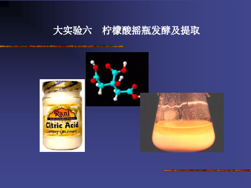 大实验六 柠檬酸摇瓶发酵及提取