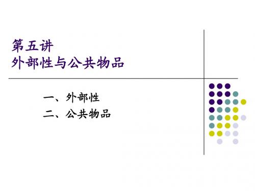 第5讲 外部性与公共物品