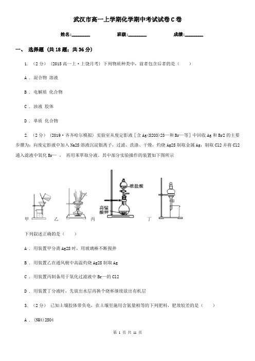 武汉市高一上学期化学期中考试试卷C卷(模拟)