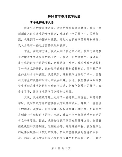 2024青年教师教学反思