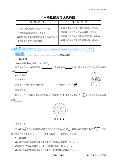 5.6洛伦兹力与现代科技(学)