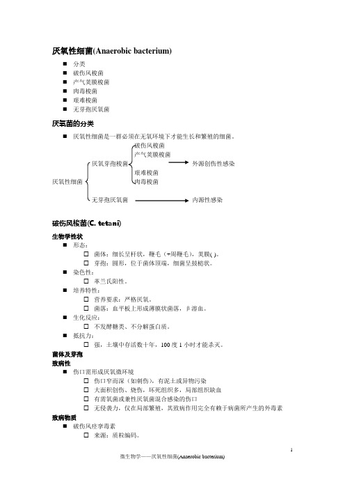 厌氧性细菌