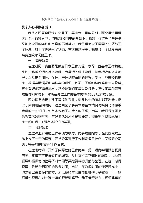 试用期工作总结及个人心得体会（通用18篇）