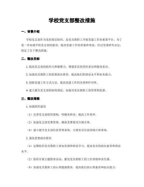 学校党支部整改措施