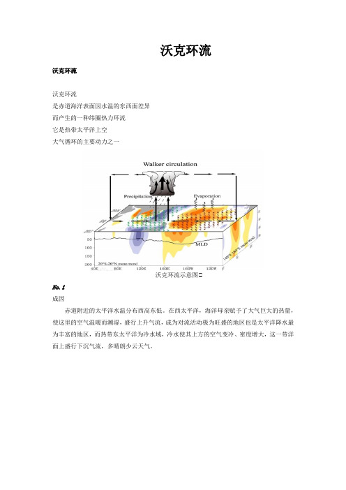 新高考地理沃克环流vs厄尔尼诺vs拉尼娜现象