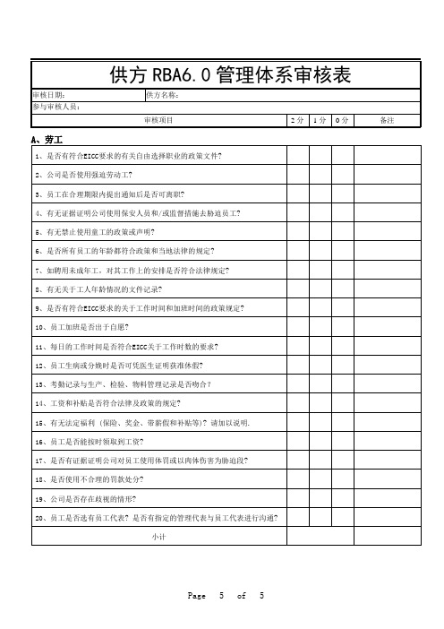 供方RBA6.0管理体系审核表