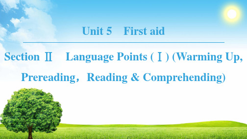 18-19 Unit  5 Section Ⅱ Language Points (Ⅰ) 高中英语人教版必修5