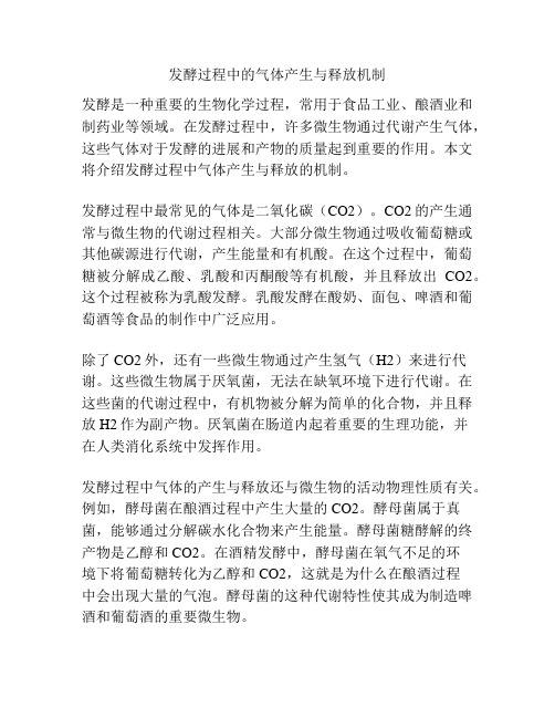 发酵过程中的气体产生与释放机制