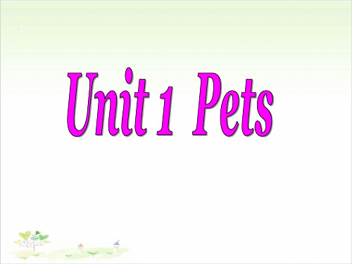 join in剑桥版三年级(下)英语公开课：Unit 1 Pets 3课件下载