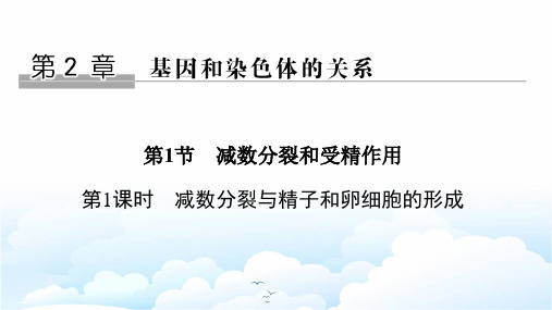 高中生物必修二优质课件：2.1.1 减数分裂与精子和卵细胞的形成