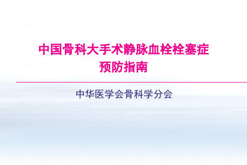 中国骨科大手术静脉血栓栓塞症预防指南 ppt课件