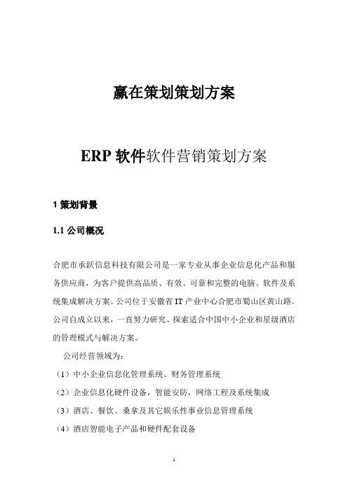 ERP软件营销策划方案01