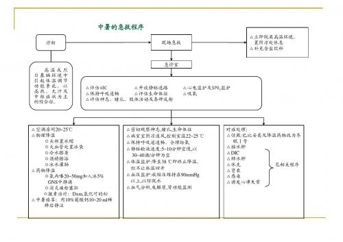 各种抢救程序(流程图)PPT课件