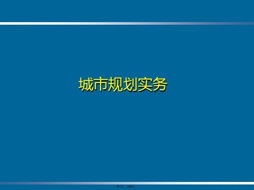 2011年城市规划实务