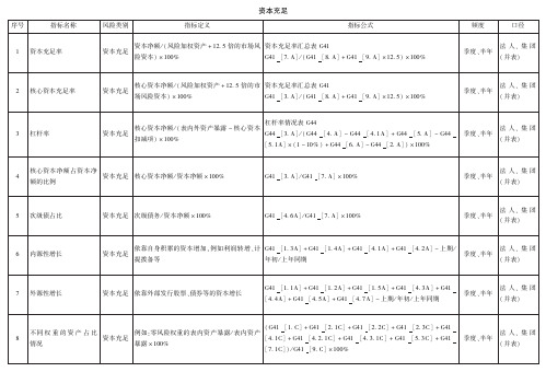 非现场监管指标使用手册 附录