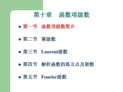 函数项级数简介