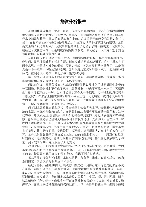 龙纹分析报告