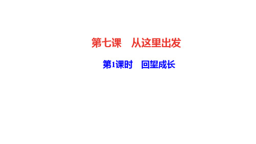 人教版道德与法治九年级下册 7,1 回望成长 练习ppt课件