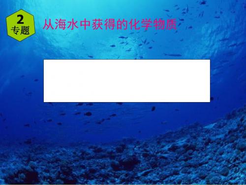 从海水中获得的化学物质PPT课件10