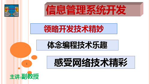 第1讲 管理信息系统开发概述PPT课件