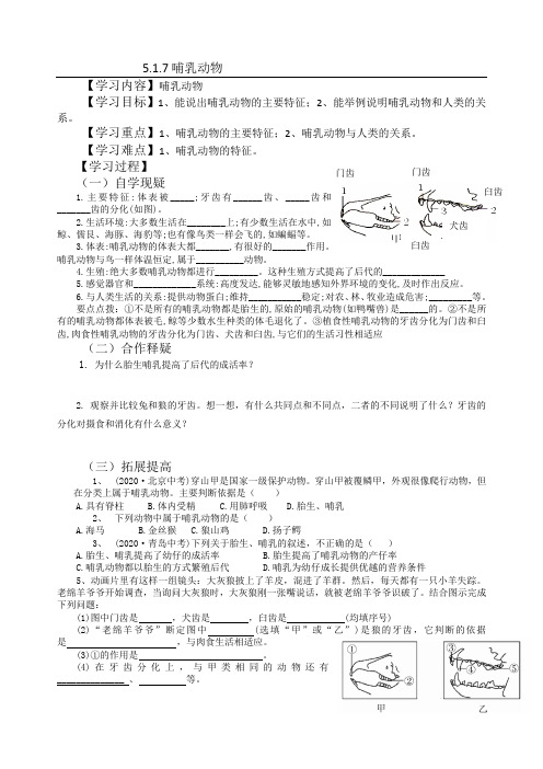 初中生物   导学案  哺乳动物