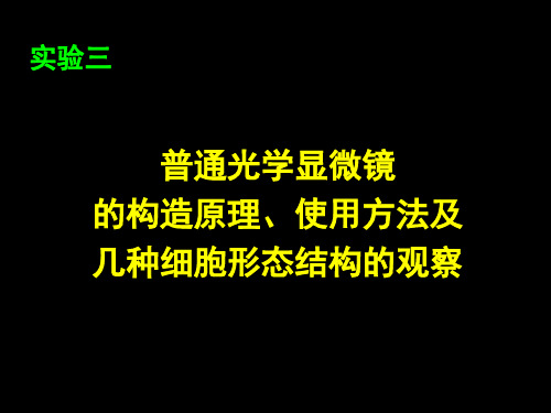 实验三 普通光学显微镜的使用及细胞形态观察研究报告